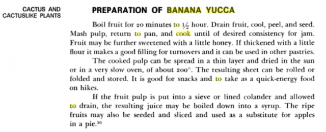 yucca_recipe