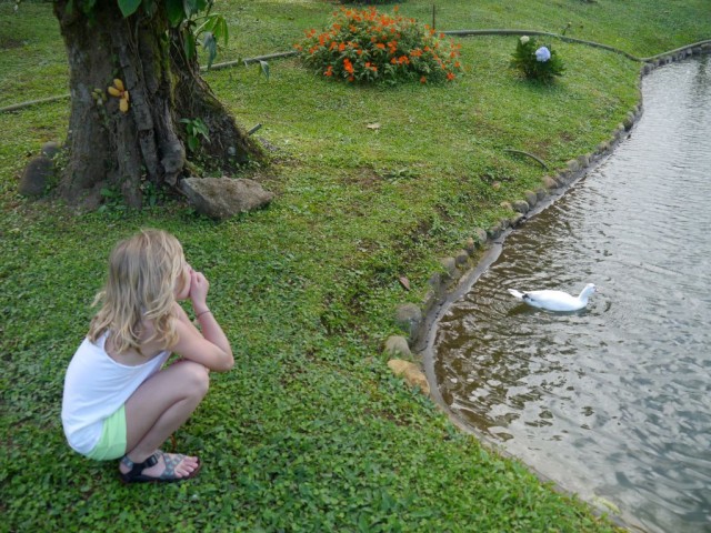 2014_0104_CostaRica_zElCocora_22_blog