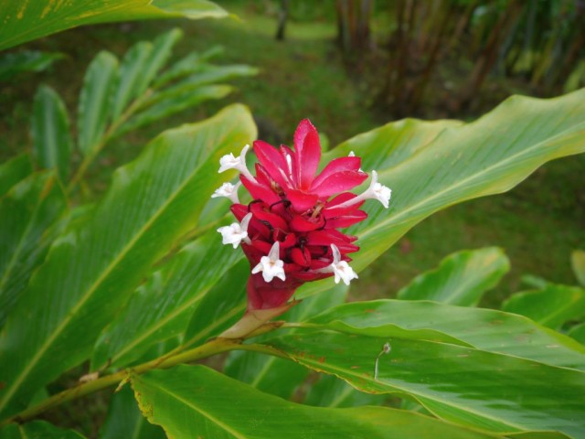 2014_0107_CostaRica_Resort_48_blog