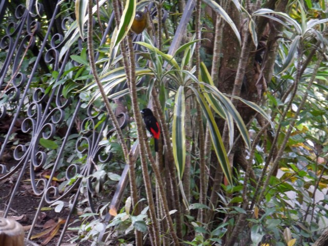 2014_0108_CostaRica_Resort_01_blog