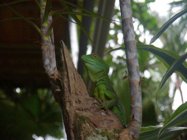 2014_0108_CostaRica_Resort_05_blog