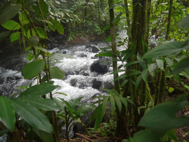 2014_0108_CostaRica_WaterfallHotSpring_10_blog