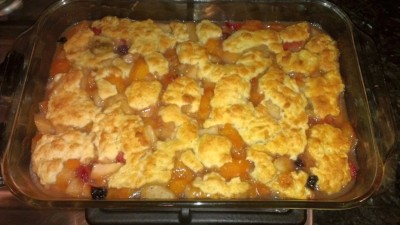 2015_0520_cobbler_blog